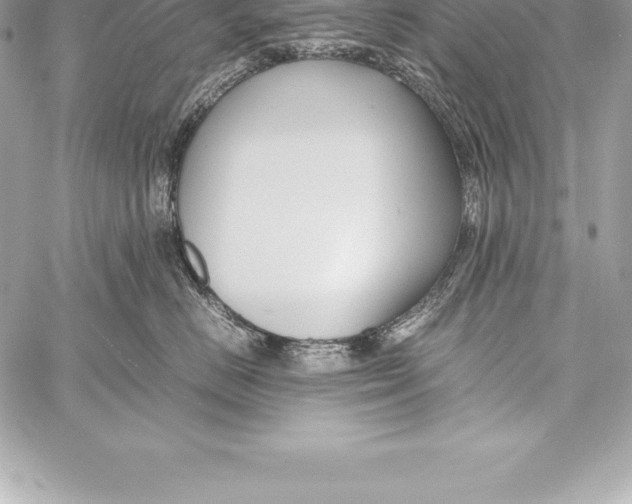 X0000058100670200510171220