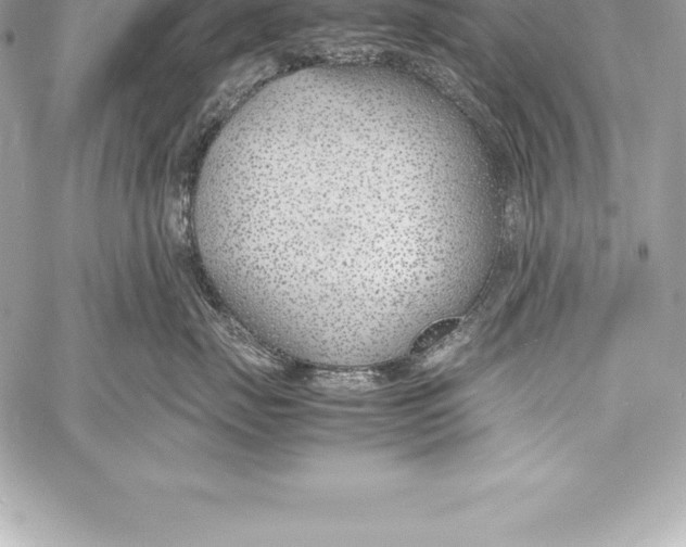 X0000058100671200510171220