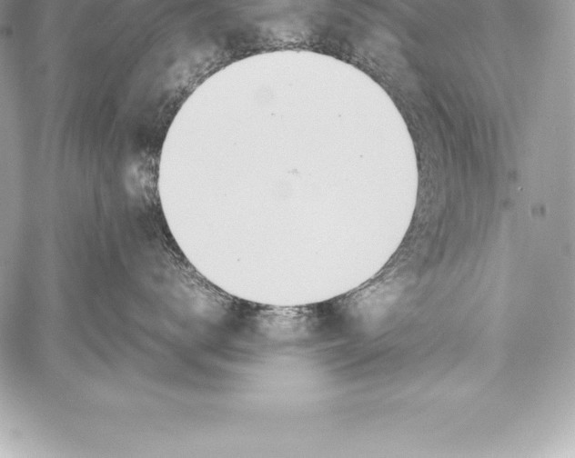 X0000058100672200510171220