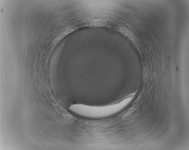 X0000058100673200510171219