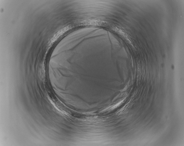 X0000058100674200510171219