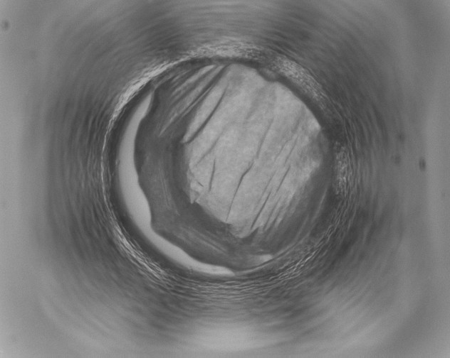 X0000058100680200510171219