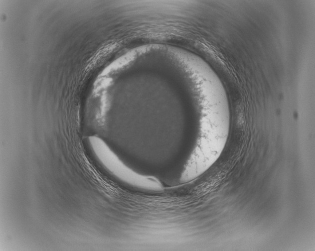 X0000058100685200510171219