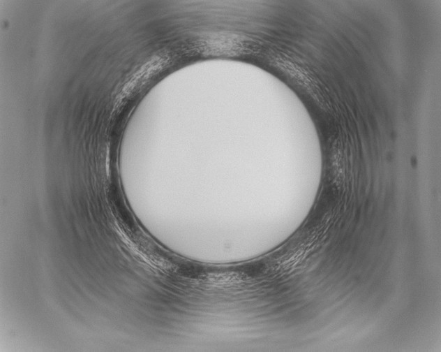 X0000058100686200510171219