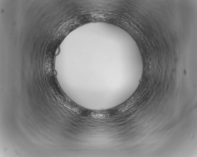 X0000058100706200510171218