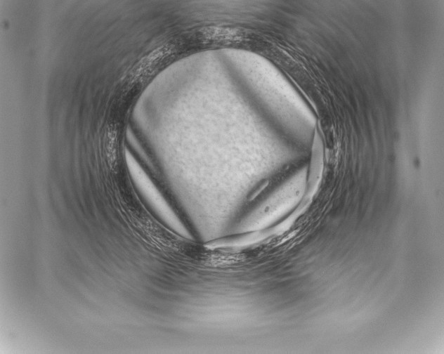 X0000058100708200510171218