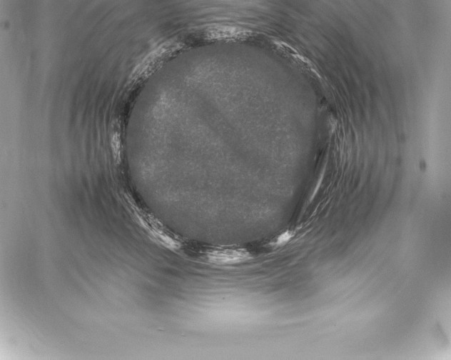 X0000058100716200510171218