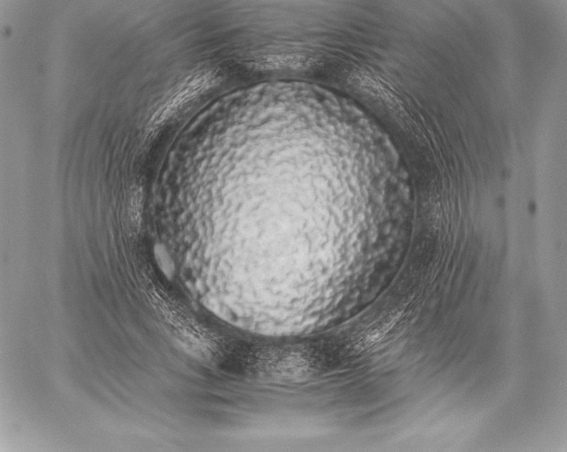 X0000058100735200510171218