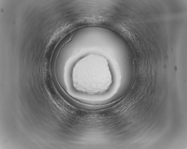 X0000058100736200510171218
