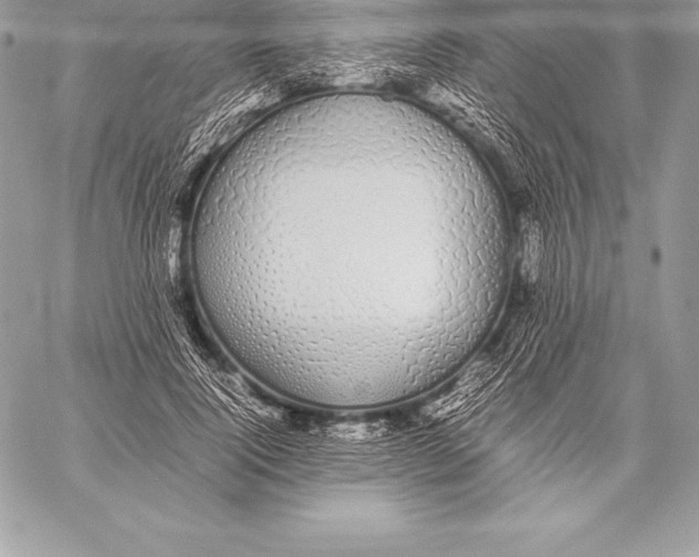 X0000058100740200510171218