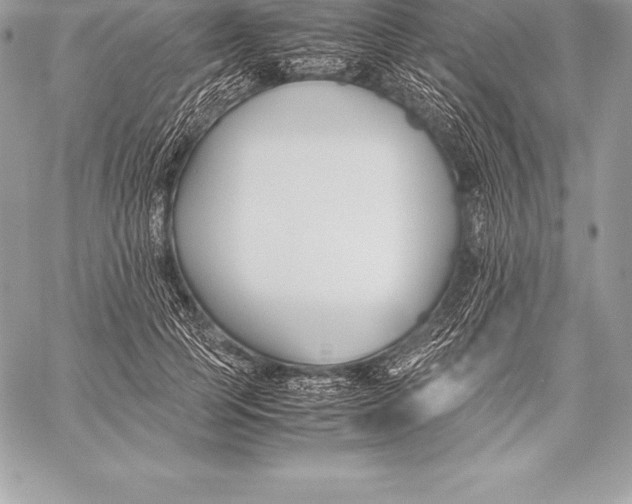 X0000058100745200510171218