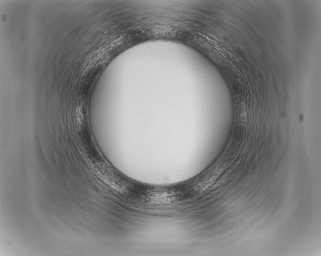 X0000058100746200510171218