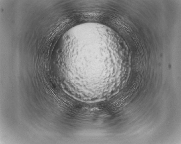 X0000058100747200510171218