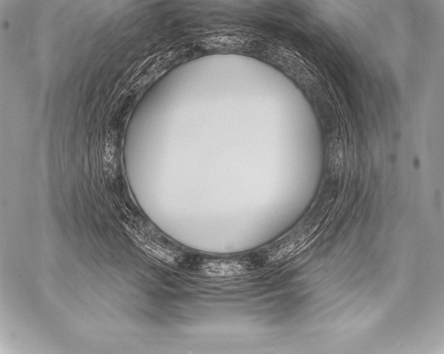 X0000058100749200510171218