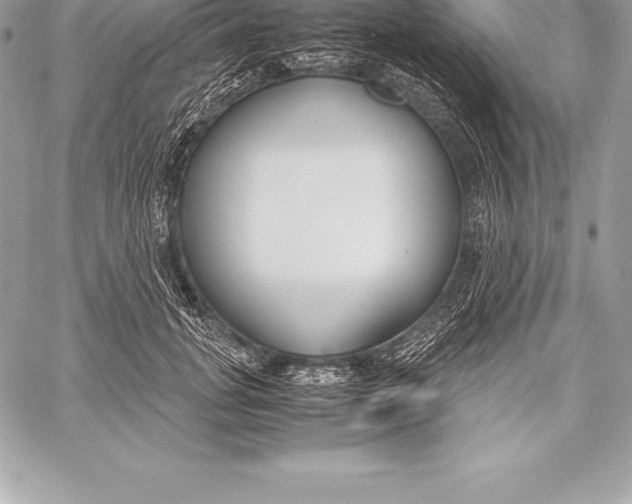 X0000058100751200510171218