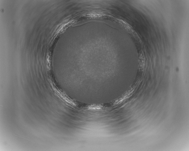 X0000058100762200510171218