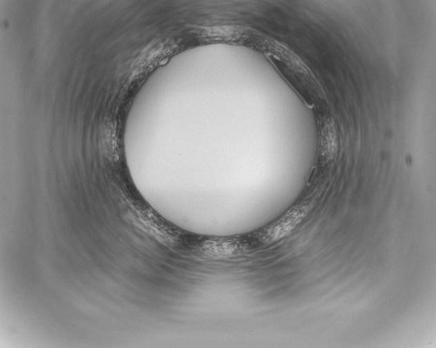 X0000058100764200510171218