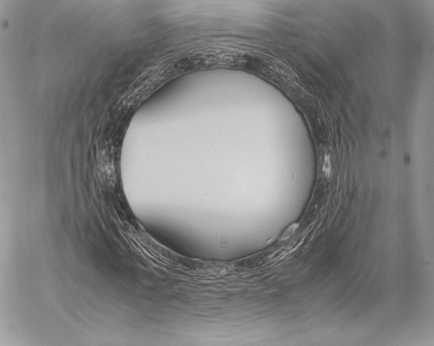X0000058100771200510171217