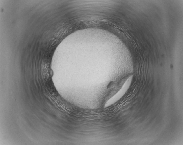 X0000058100772200510171217