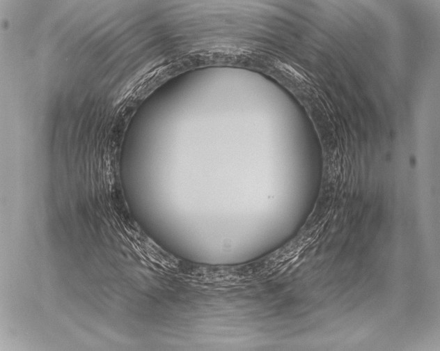 X0000058100774200510171217