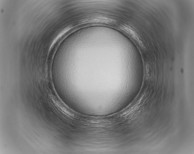 X0000058100780200510171217