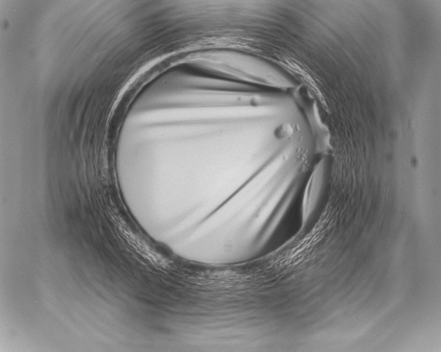 X0000058100784200510171217