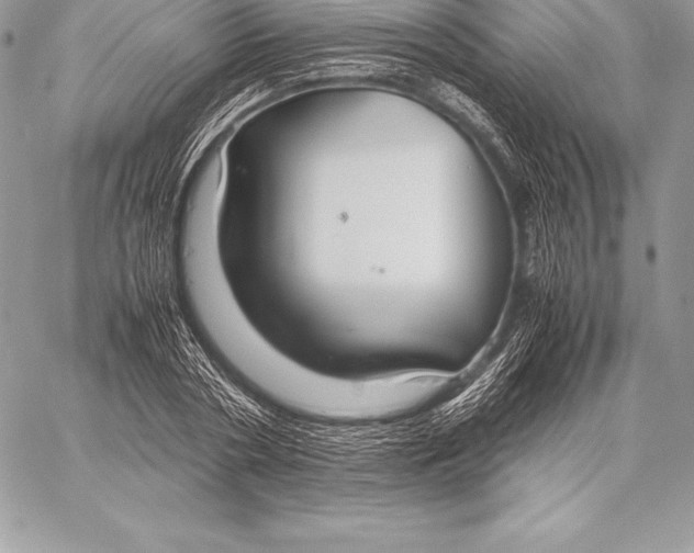 X0000058100786200510171217
