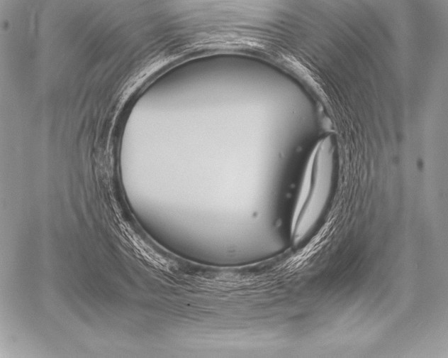X0000058100787200510171217
