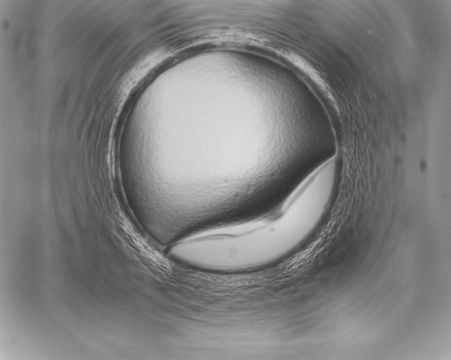 X0000058100791200510171217