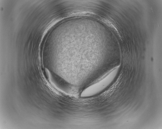 X0000058100792200510171217
