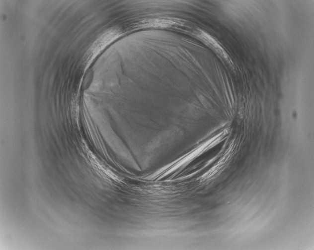 X0000058100802200510171217