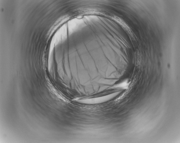 X0000058100806200510171217