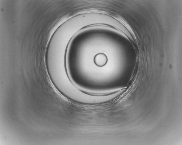 X0000058100813200510171217