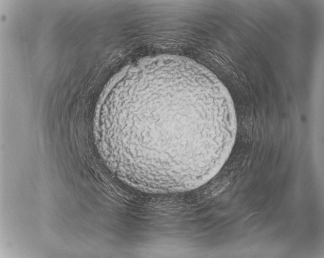 X0000058100817200510171216