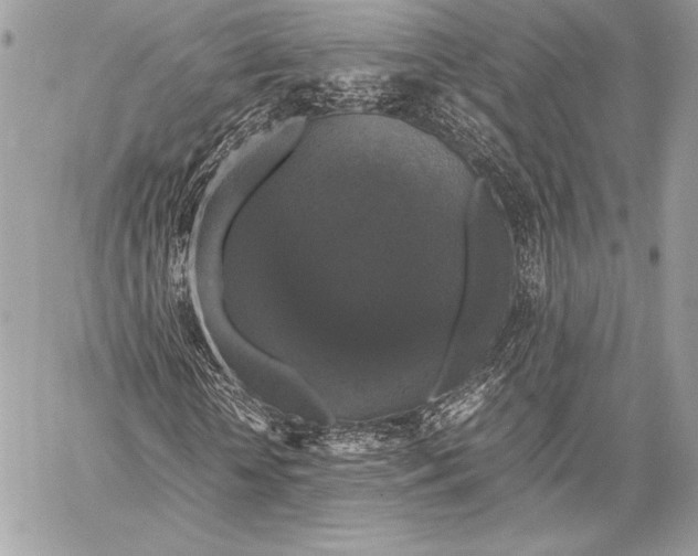 X0000058100818200510171216