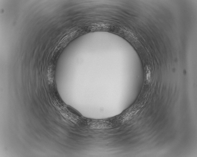 X0000058100819200510171216