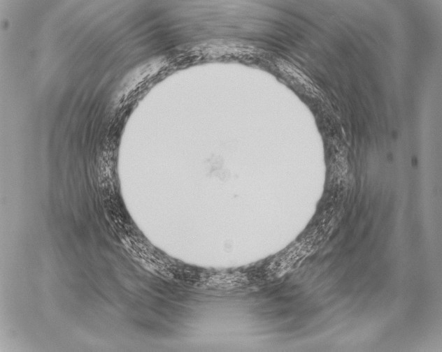 X0000058100824200510171216