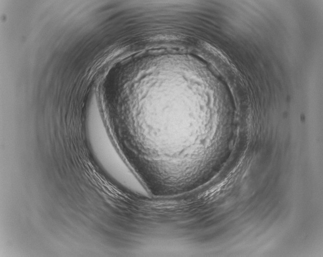 X0000058100825200510171216