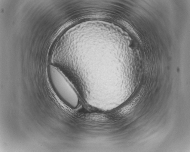 X0000058100845200510171216