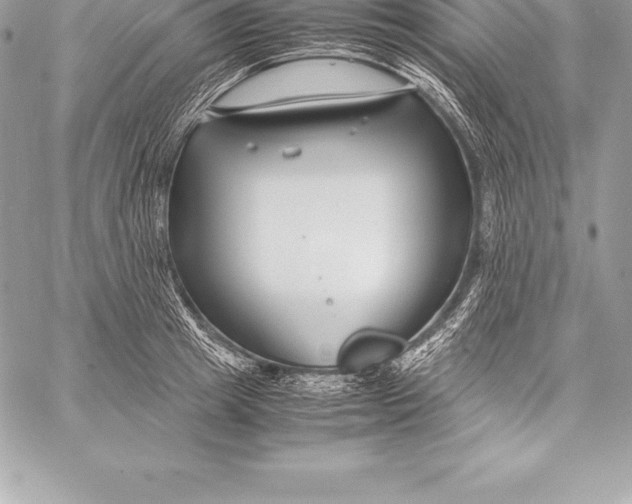 X0000058100849200510171216