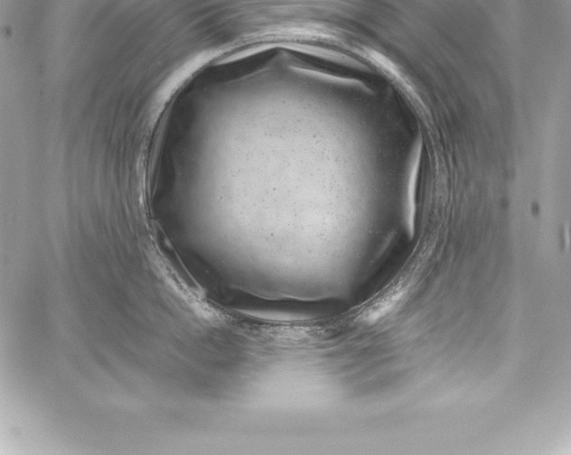 X0000058100862200510171216
