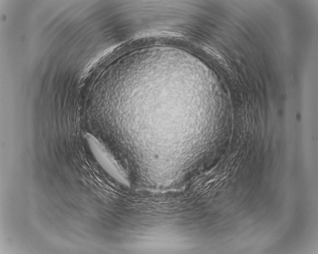 X0000058100872200510171216