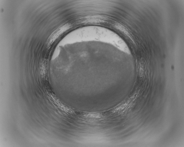 X0000058100874200510171215