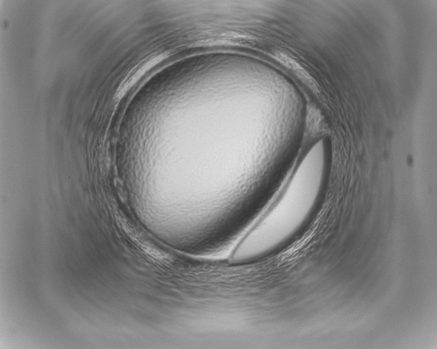 X0000058100885200510171215