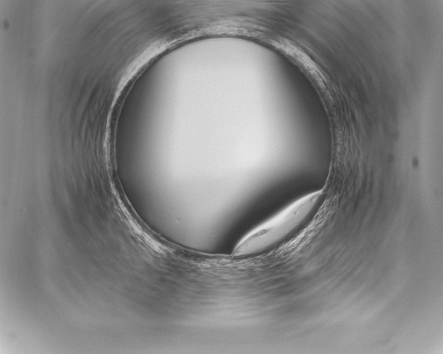 X0000058100902200510171215