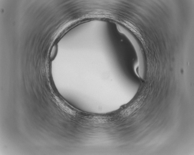 X0000058100942200510171215