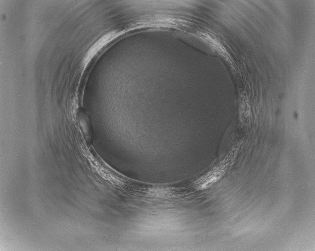 X0000058100944200510171215