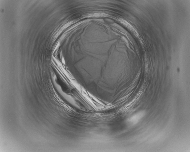 X0000058100945200510171215