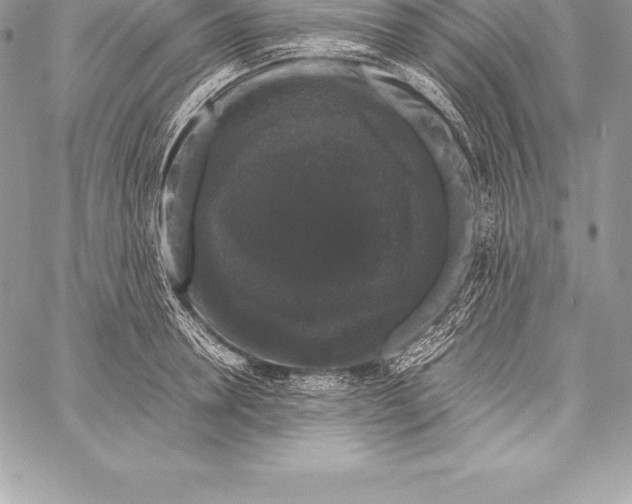 X0000058100946200510171215