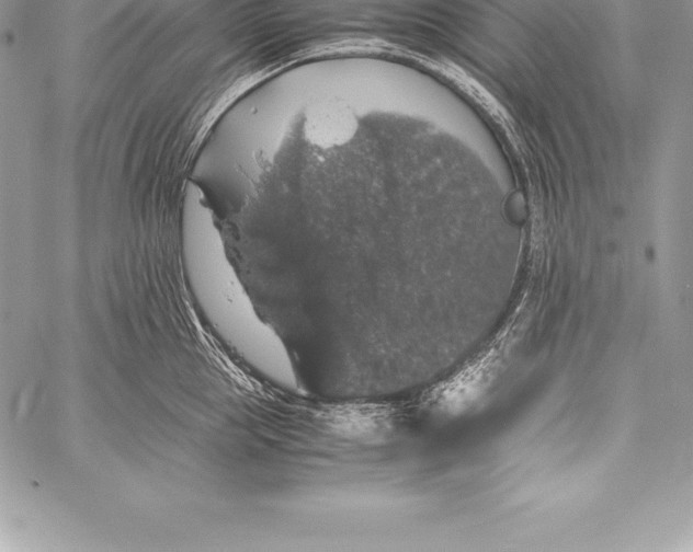 X0000058100953200510171215